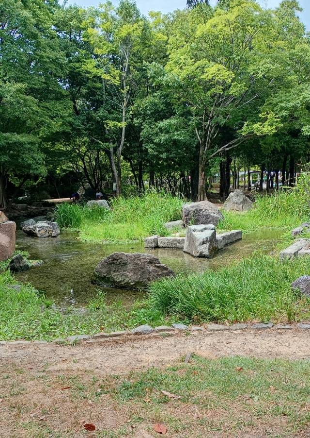 森に囲まれた泉。